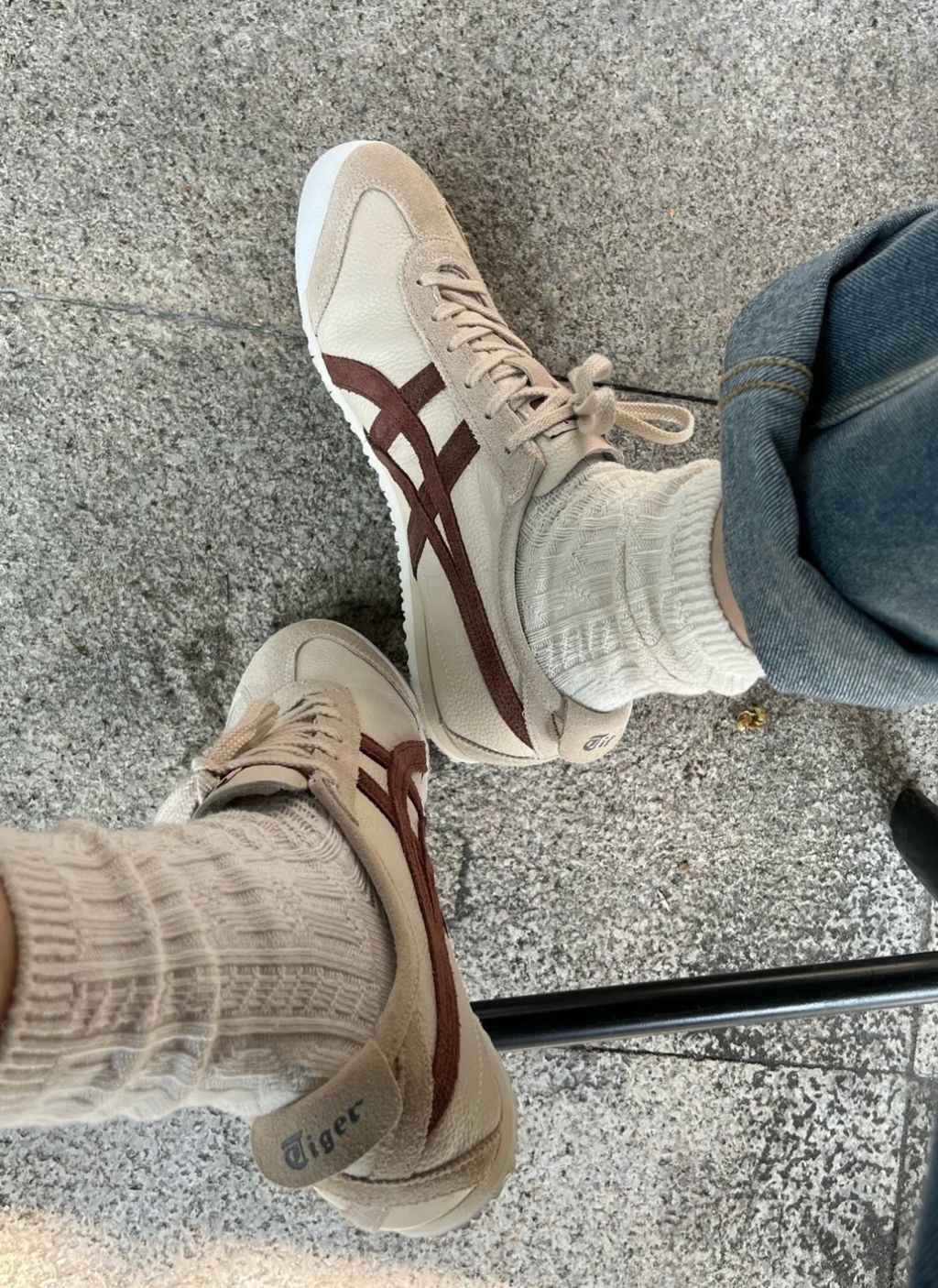 IMG_3979-1731575397564