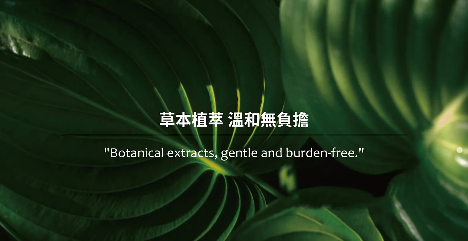 體香膏商品內容6