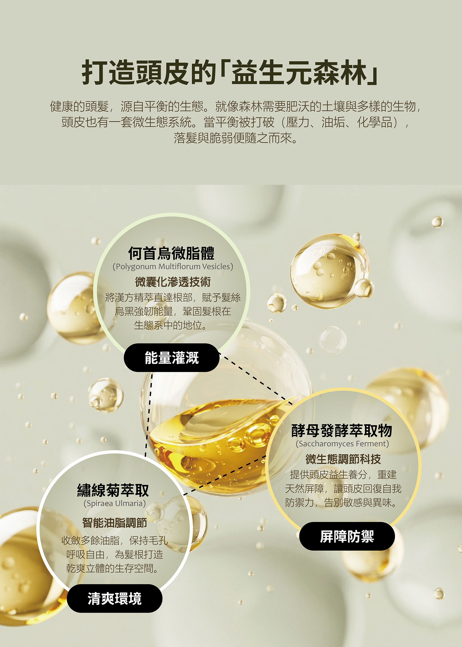15.LEN-胜肽賦活髮量精華 商品排版7