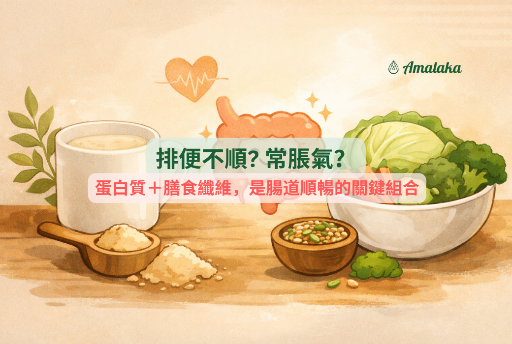 排便不順、常脹氣？ 你缺的可能不只是纖維，蛋白質也很重要！