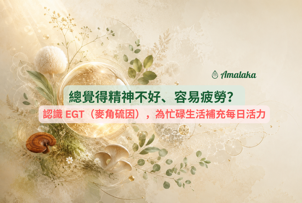 總覺得精神不好、容易疲勞？認識 EGT（麥角硫因），為忙碌生活補充每日活力