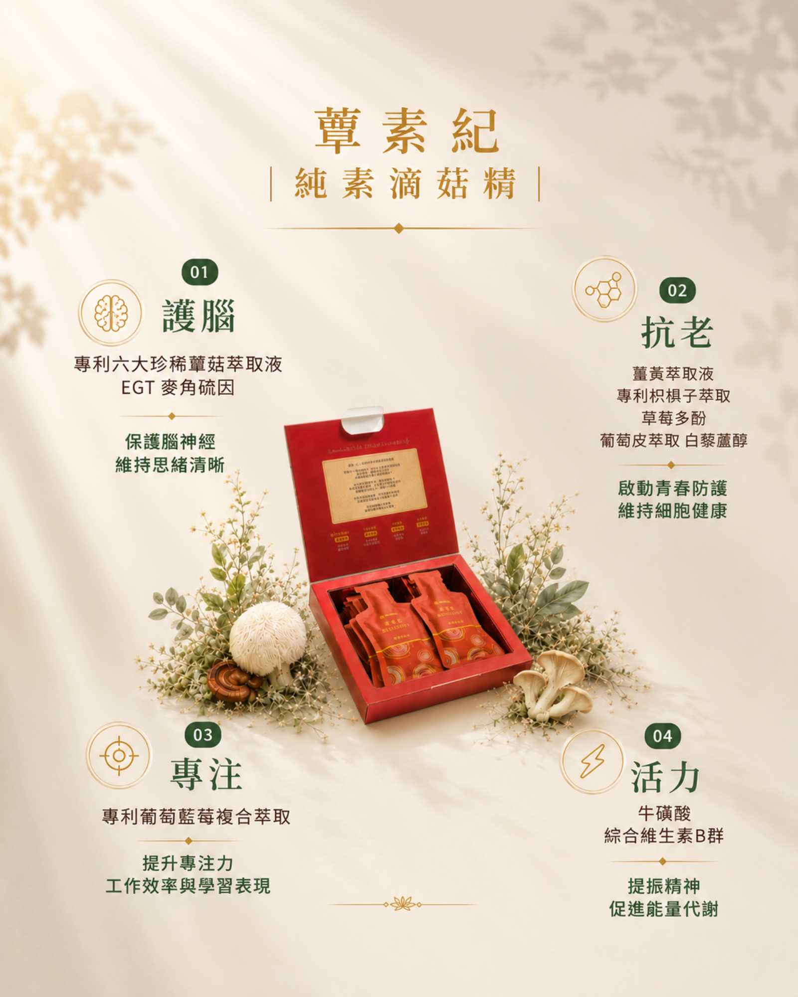 蕈素紀 產品介紹 2四大功效