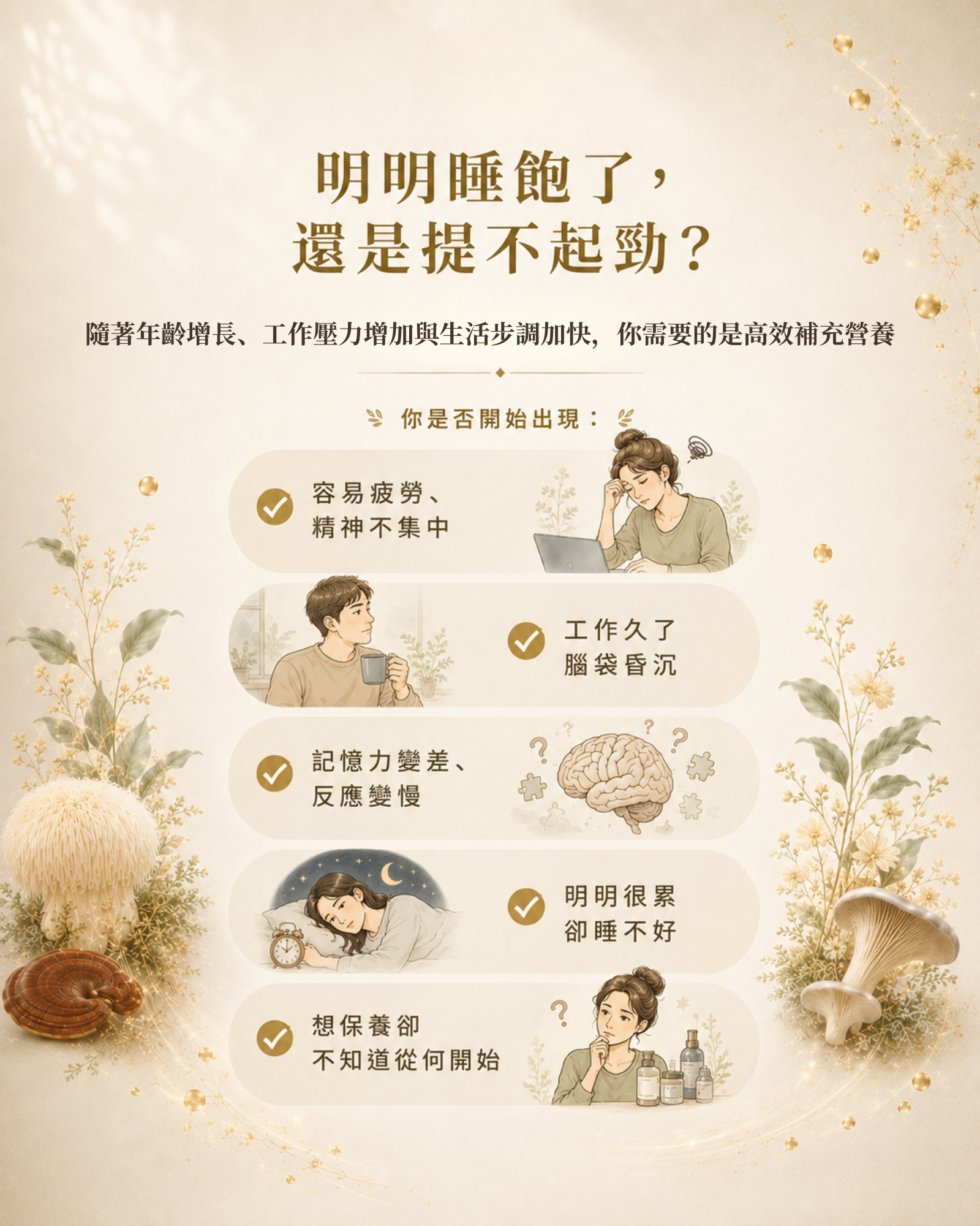 蕈素紀 產品介紹 3痛點