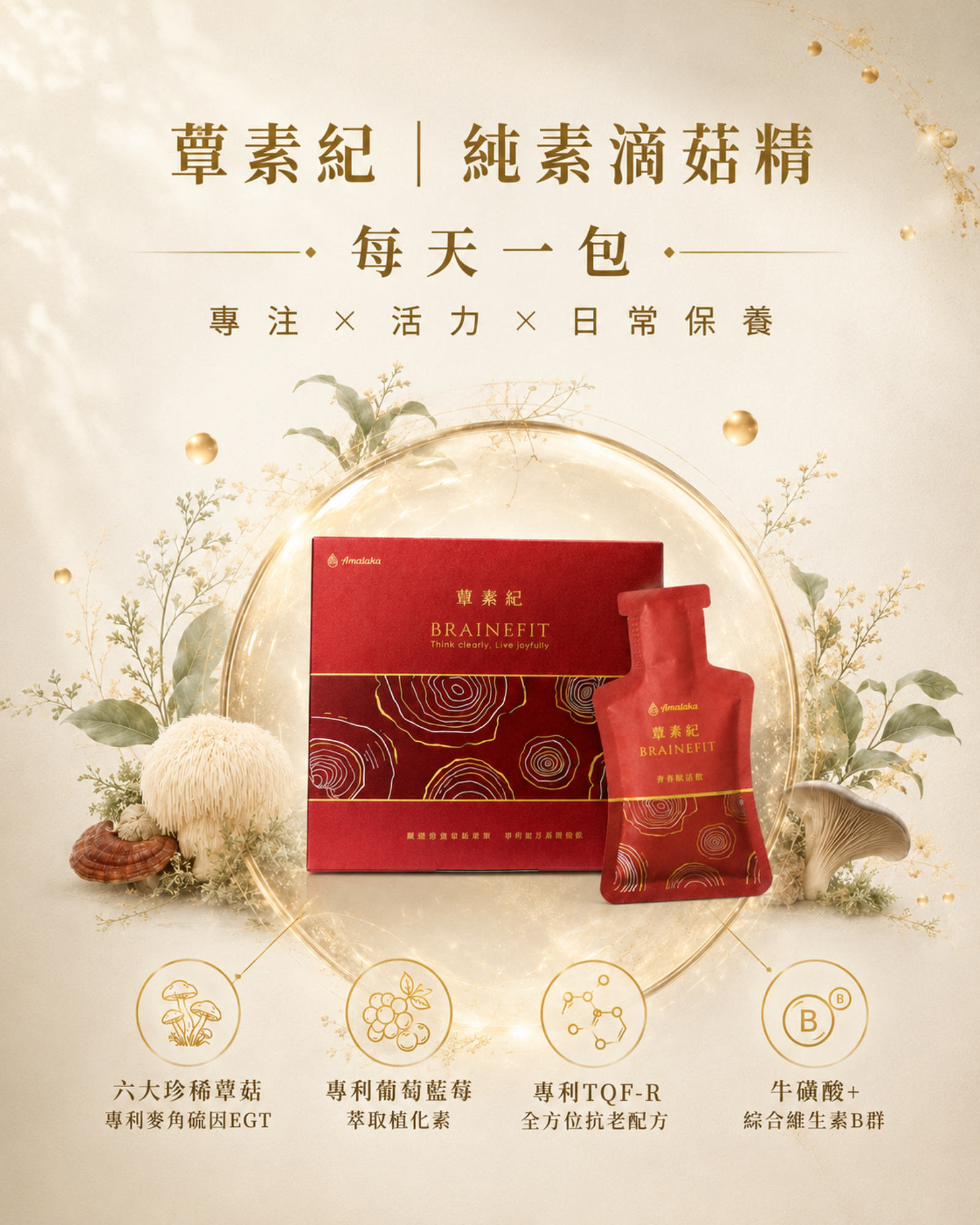 蕈素紀 產品介紹 1主圖