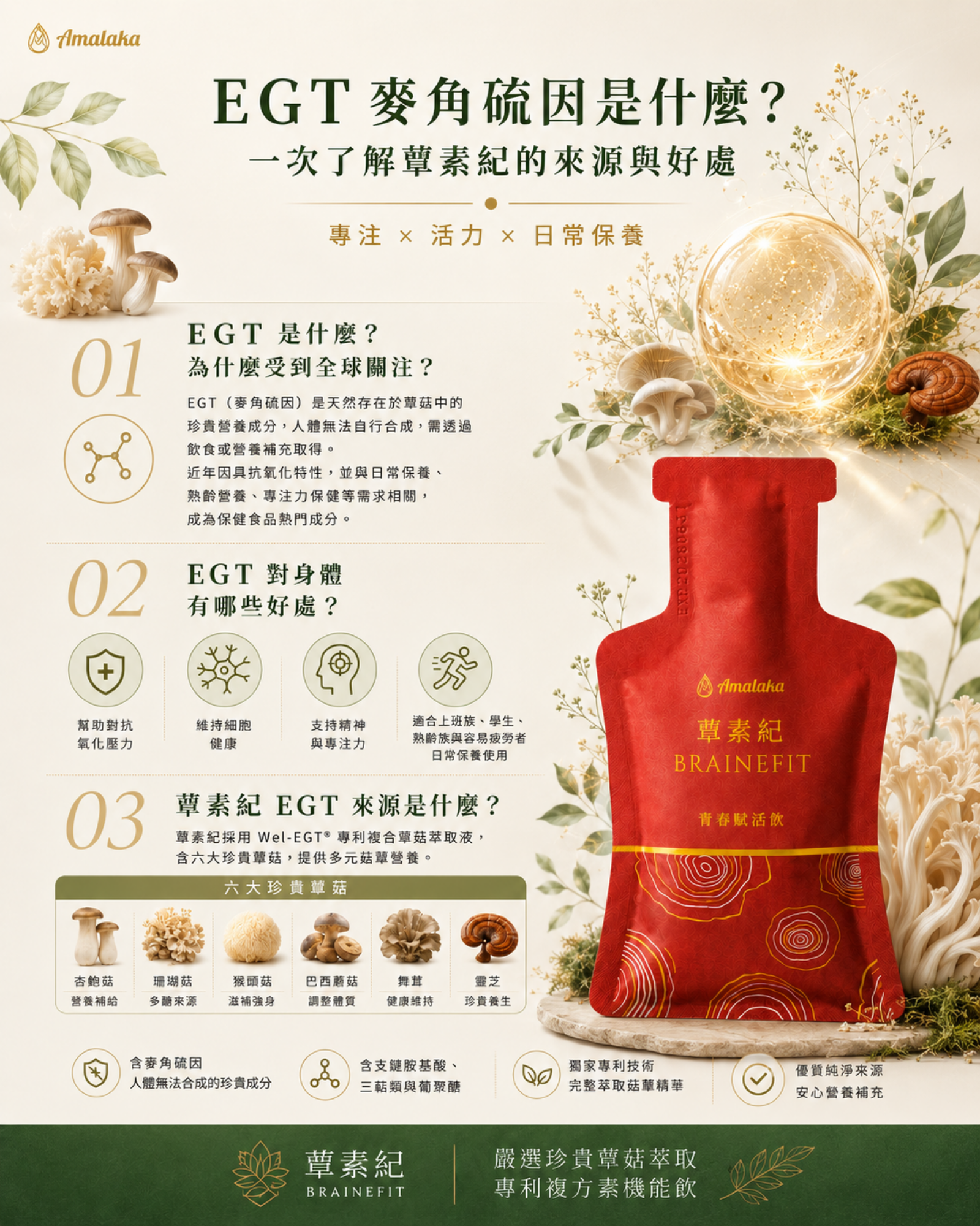 蕈素紀 產品介紹 6EGT說明