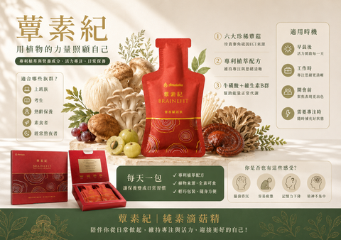 蕈素紀 單頁