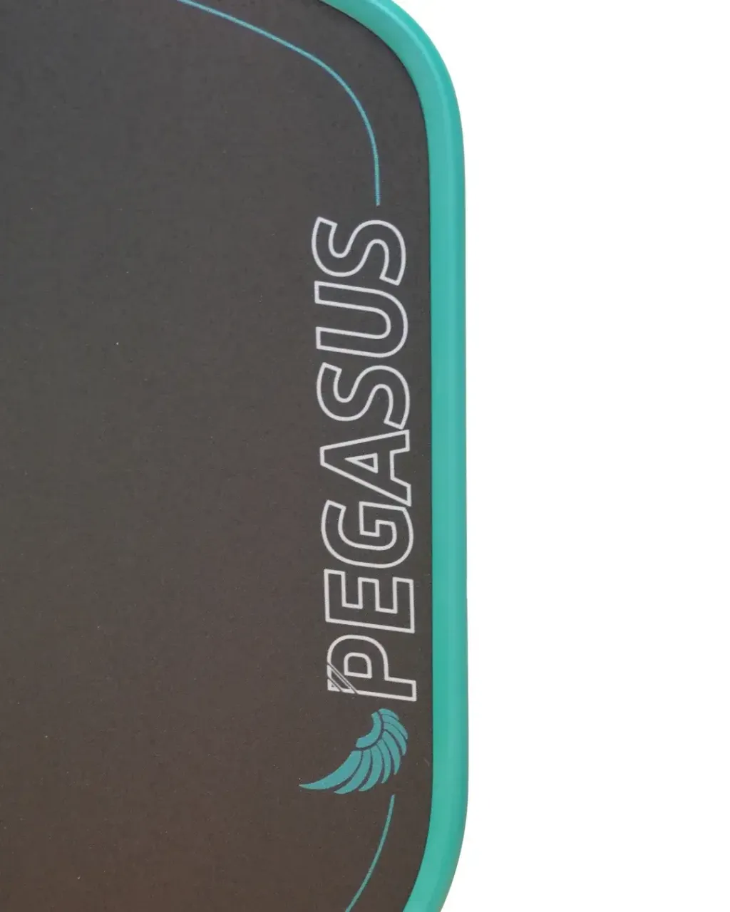 Pegasus_Power_2_Teal_Logo