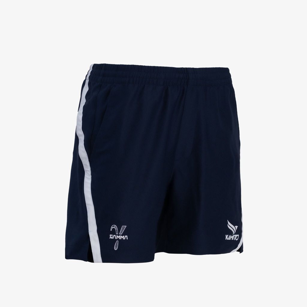 quan_gamma_4_d2d20700a87e4f4eb557a40a23be9036_master