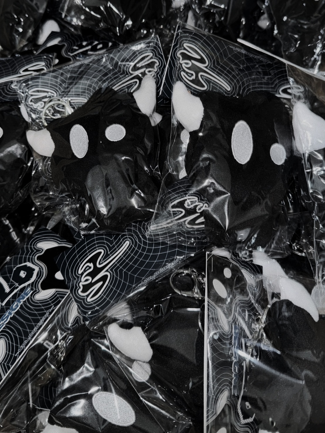 image_230CD23C-E492-49FC-9D35-39E139BD4740_1750360945