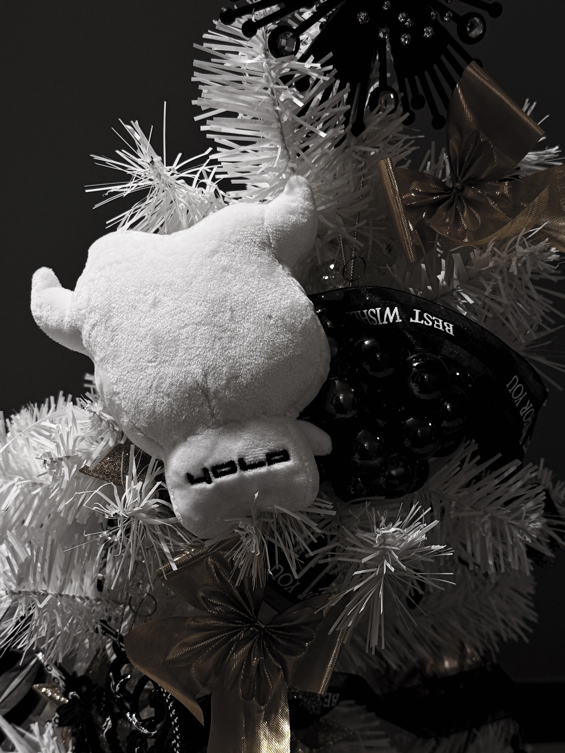 image_33E7D5C3-8E71-4F16-88C7-D6DB96A9298D_1763579485