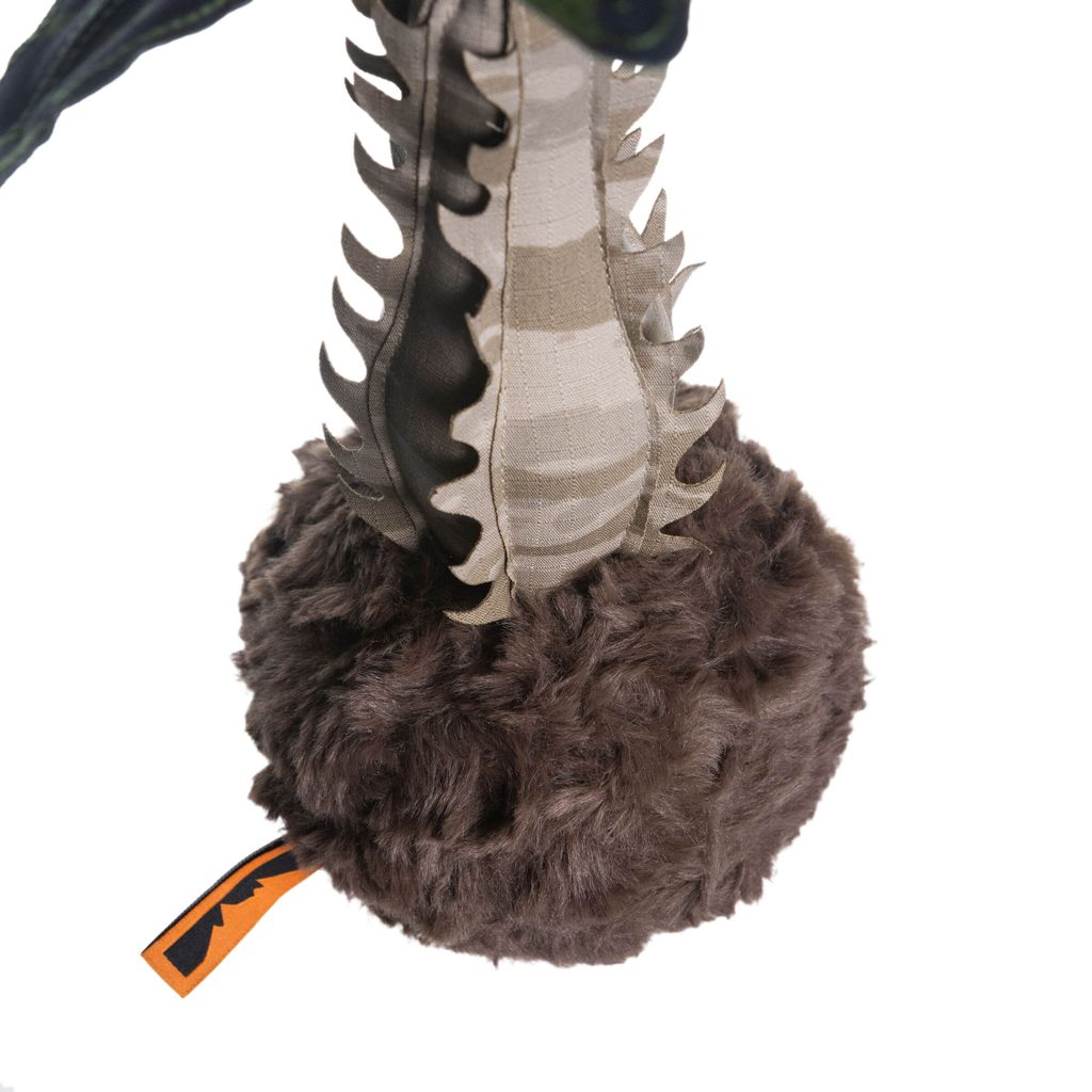 2026.01.29-巴氏棒槌樹-0503