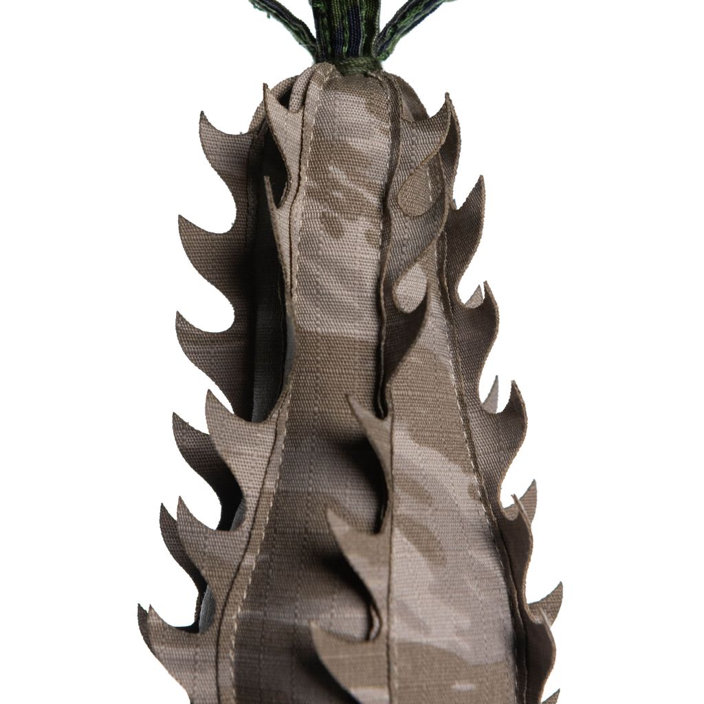 2026.01.29-巴氏棒槌樹-0504