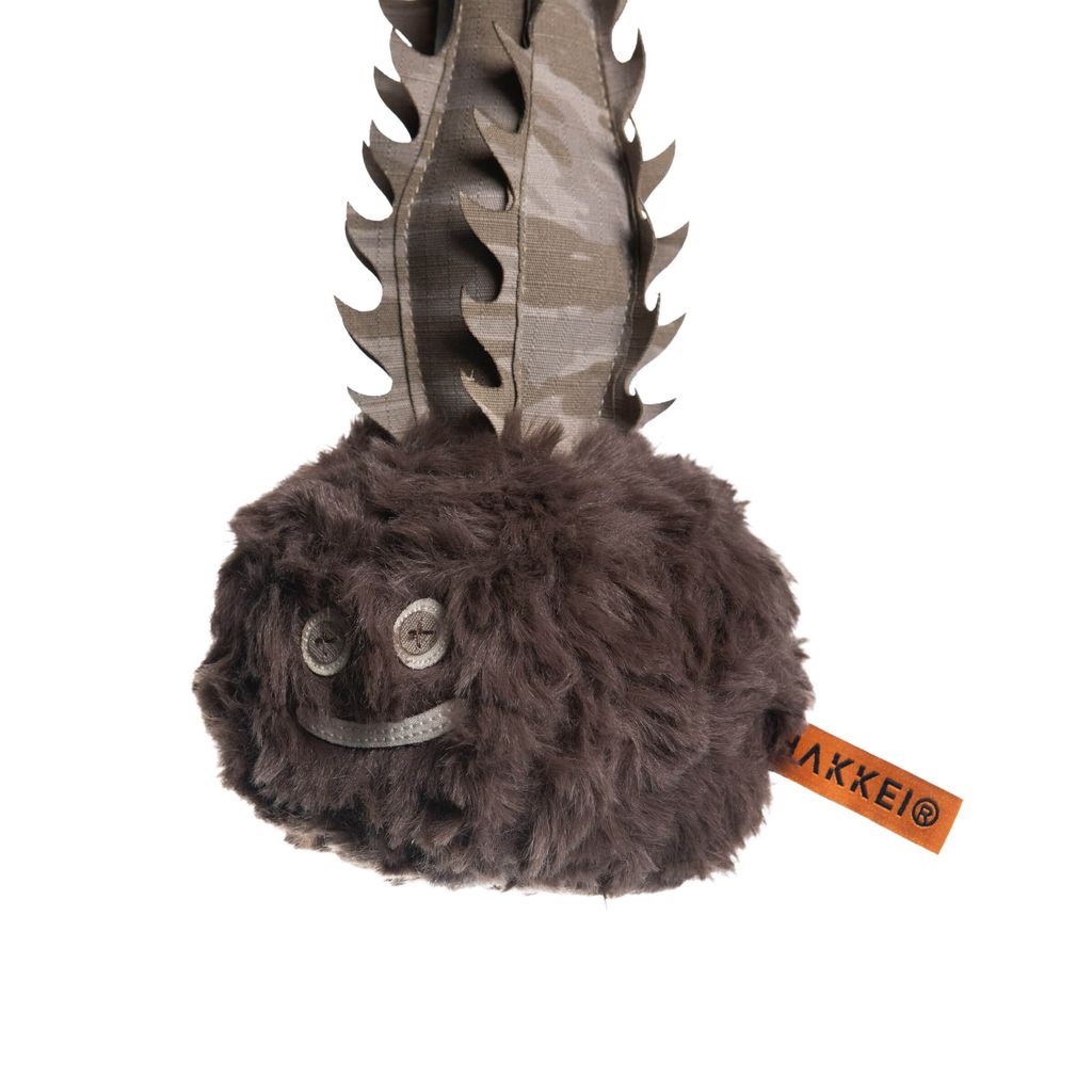 2026.01.29-巴氏棒槌樹-0502