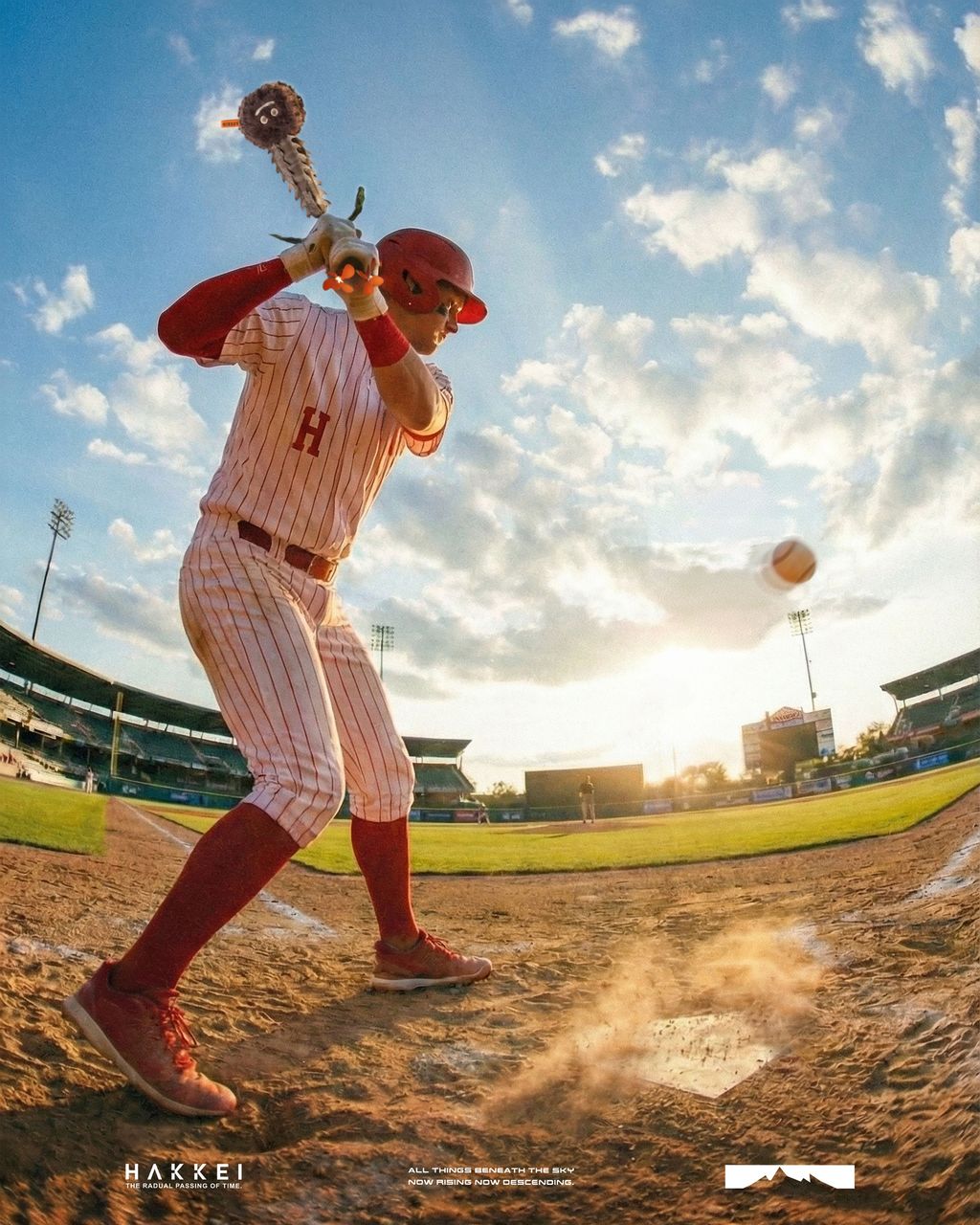 巴氏棒槌樹形象-02