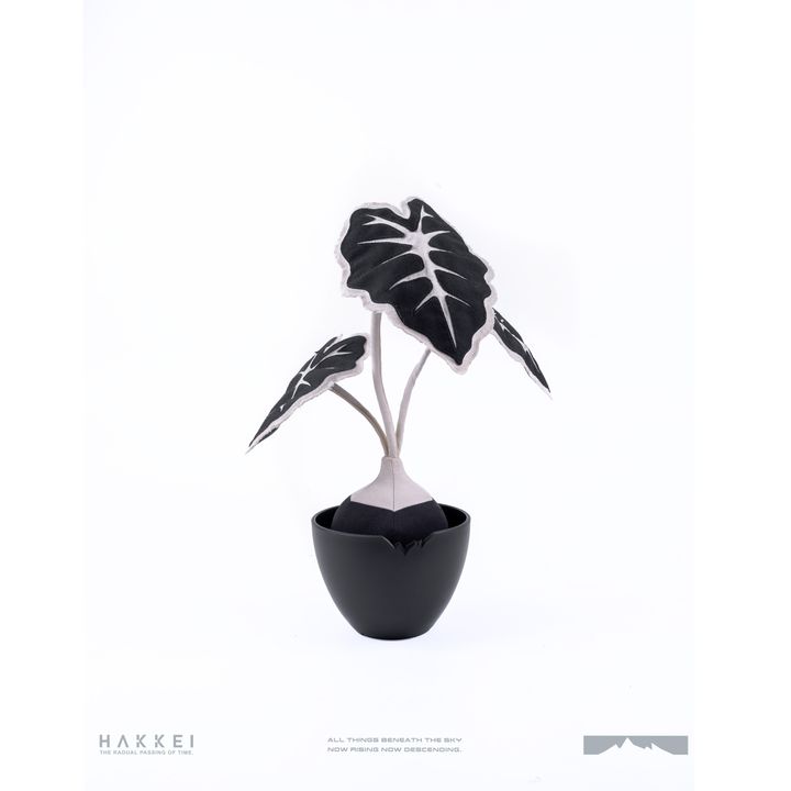 白景隊版