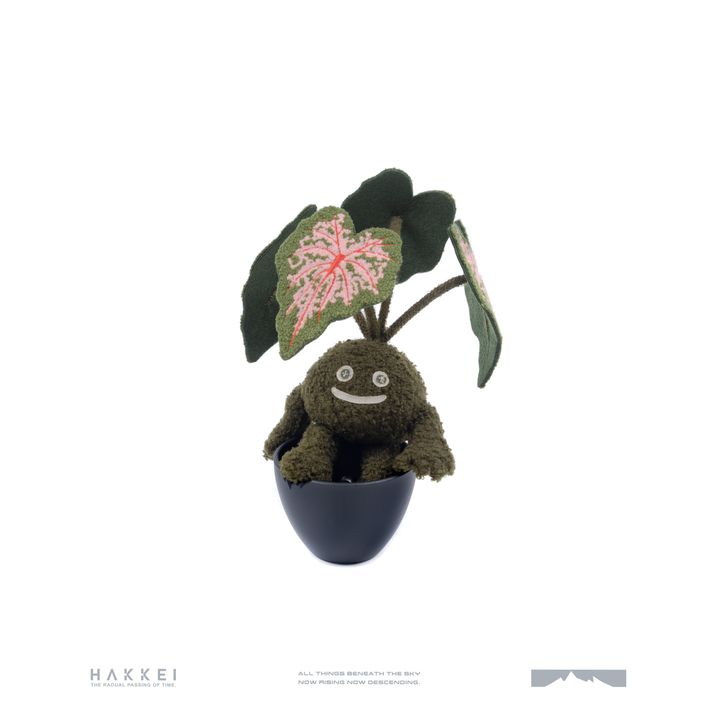 白景隊版白背