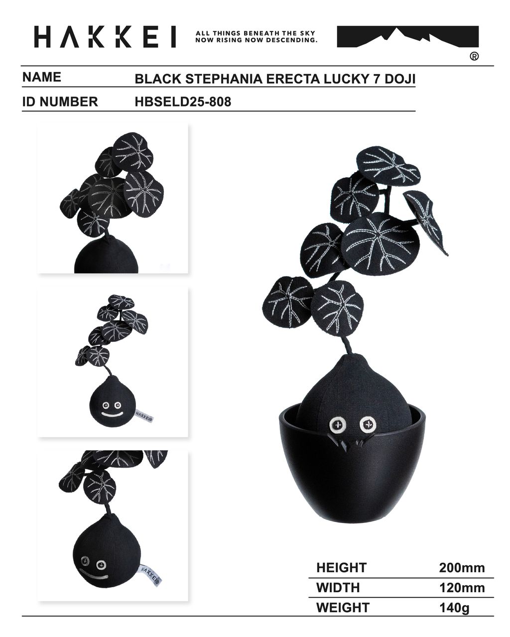 暗黑七葉山烏龜-尺寸圖