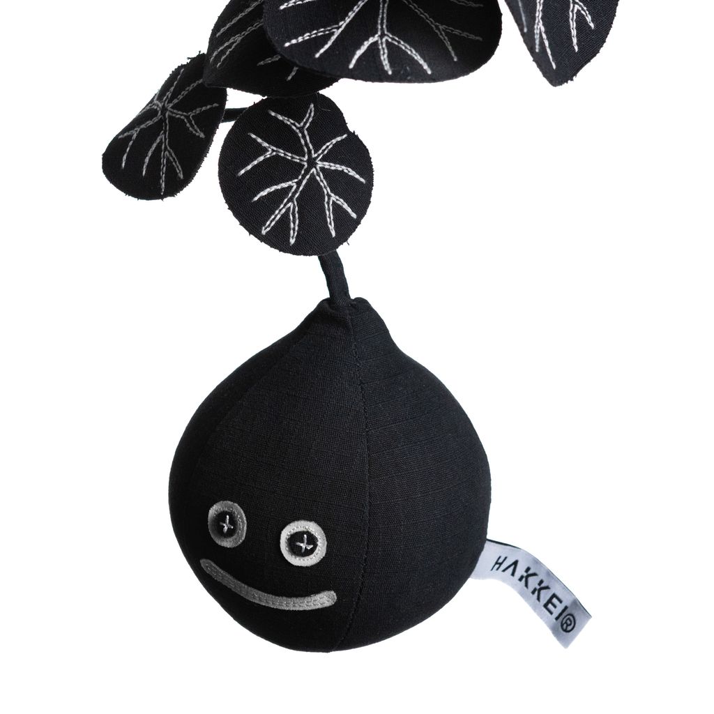 2025.09.30-暗黑七葉山烏龜白背-4485