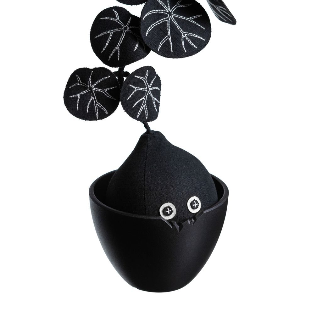 2025.09.30-暗黑七葉山烏龜白背-4474