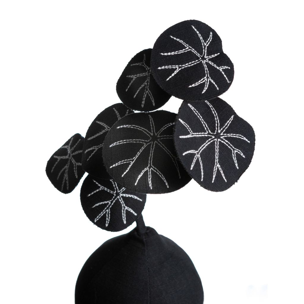 2025.09.30-暗黑七葉山烏龜白背-4477