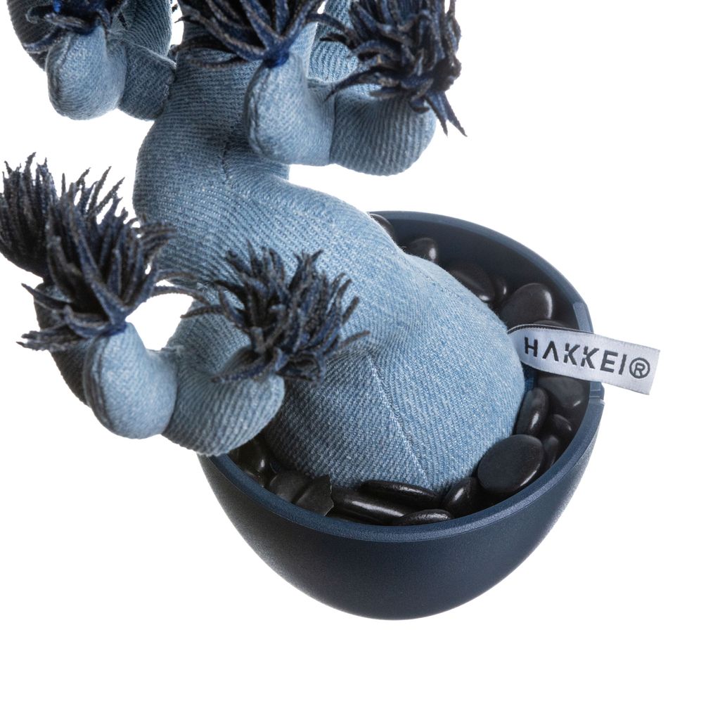 2025.10.13-五葉松白背-5344