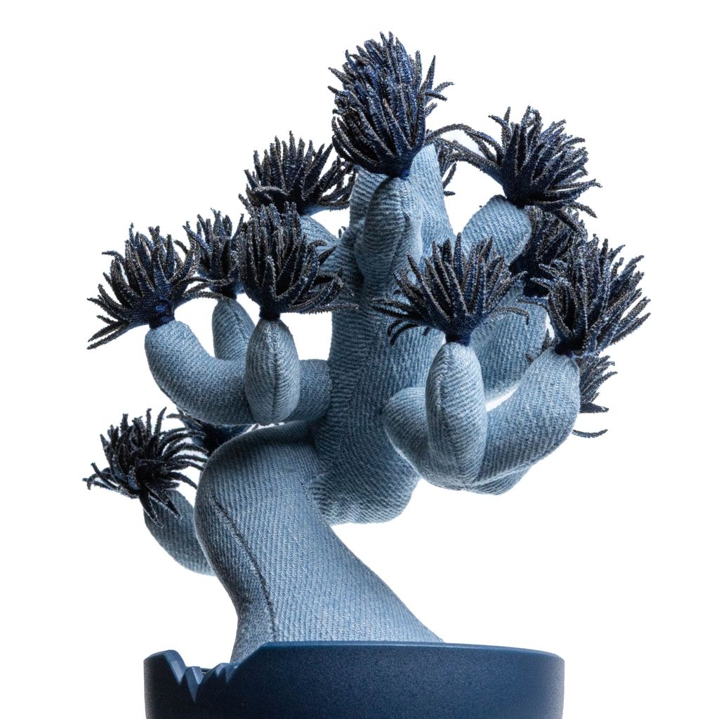 2025.10.13-五葉松白背-5336