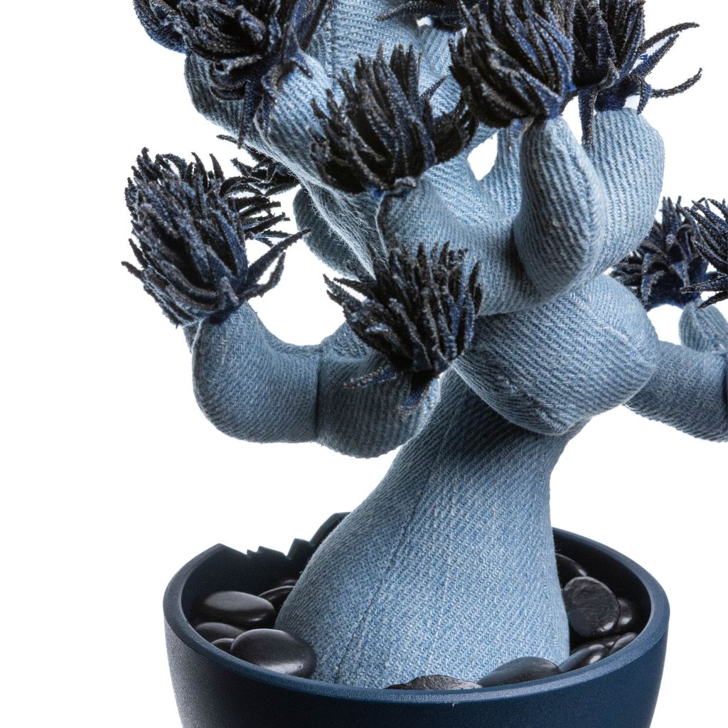 2025.10.13-五葉松白背-5339