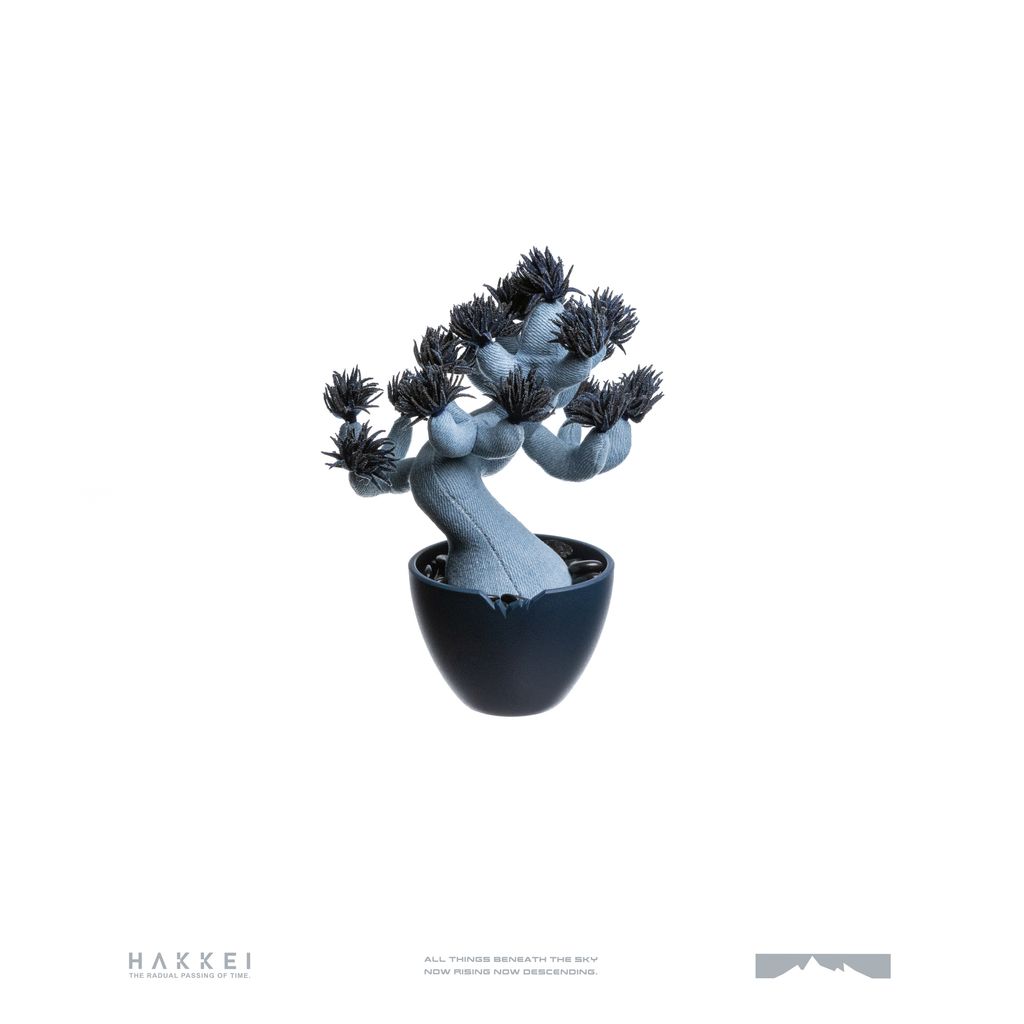 2025.10.13-五葉松白背-5331(LOGO)