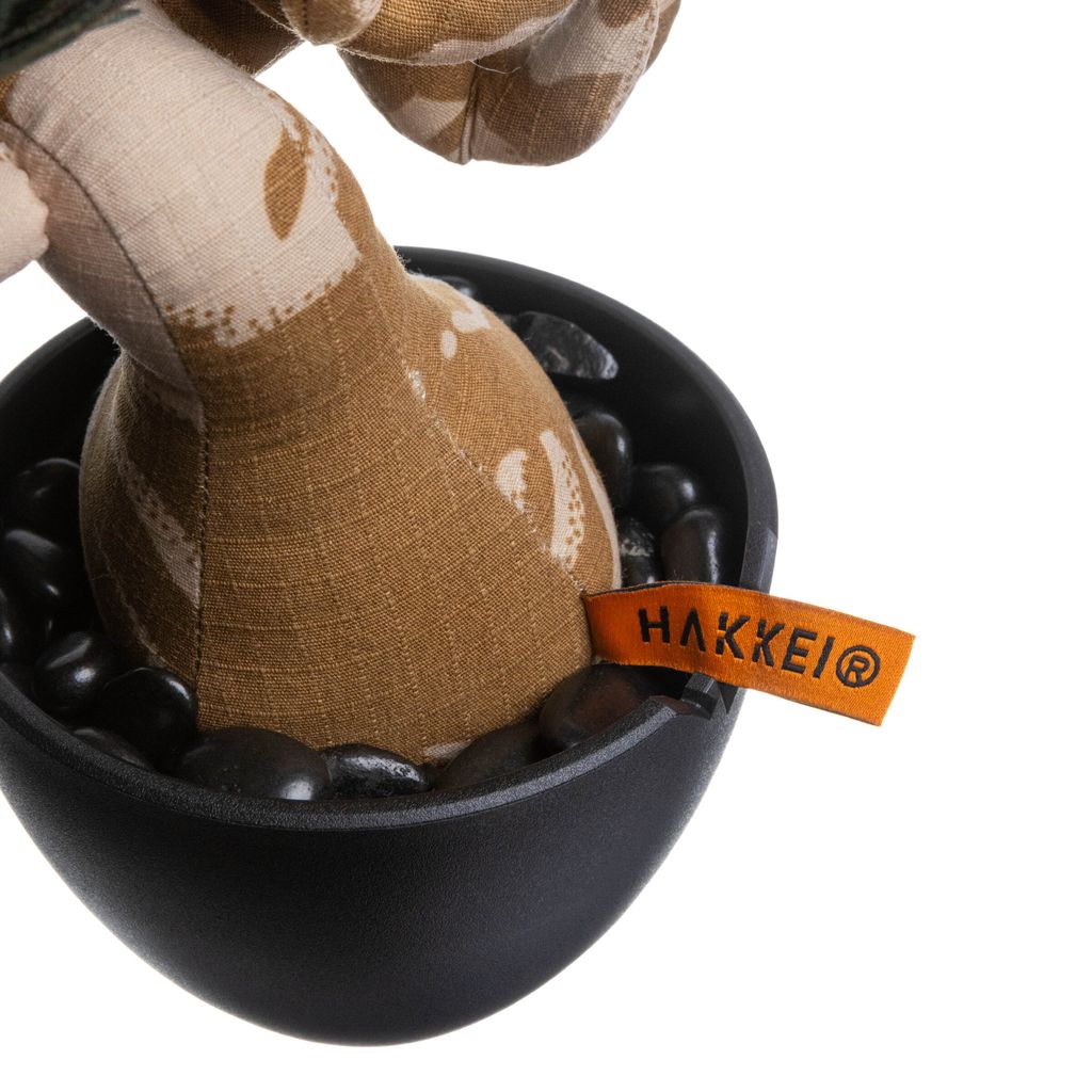 2025.10.13-五葉松白背-5329