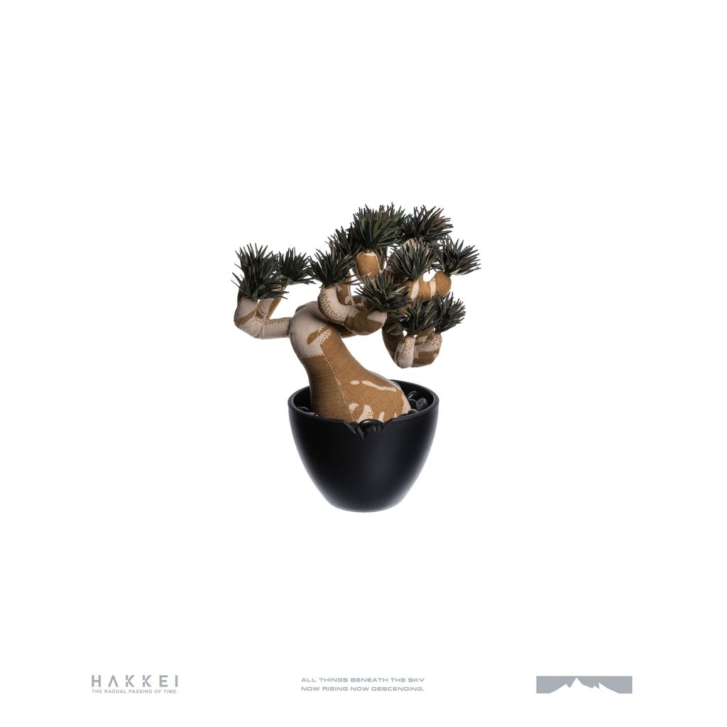 2025.10.13-五葉松白背-5310(LOGO)