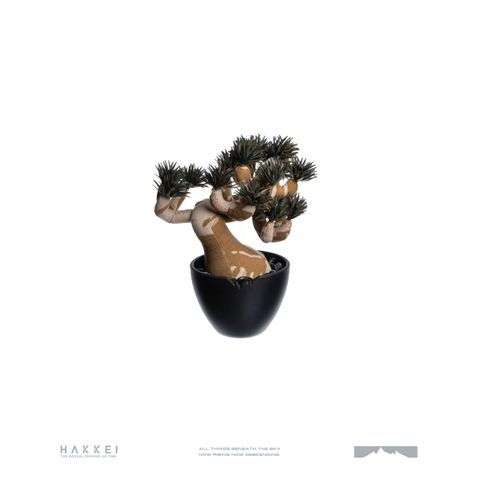 2025.10.13-五葉松白背-5310(LOGO)