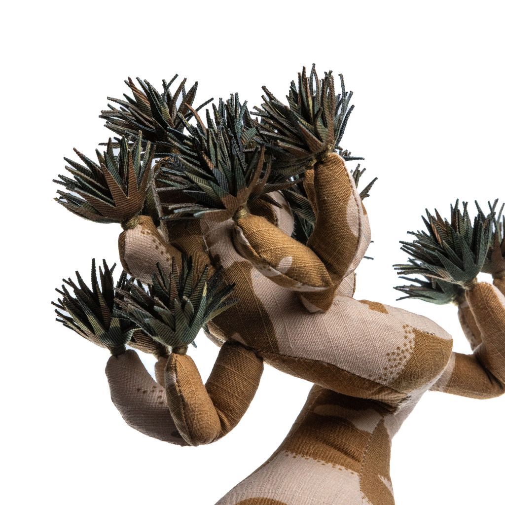 2025.10.13-五葉松白背-5321