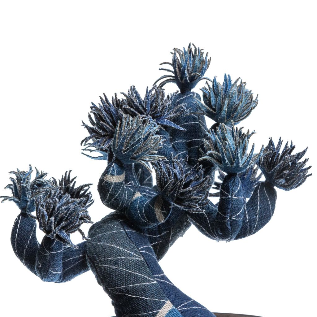 2025.10.13-五葉松白背-5365