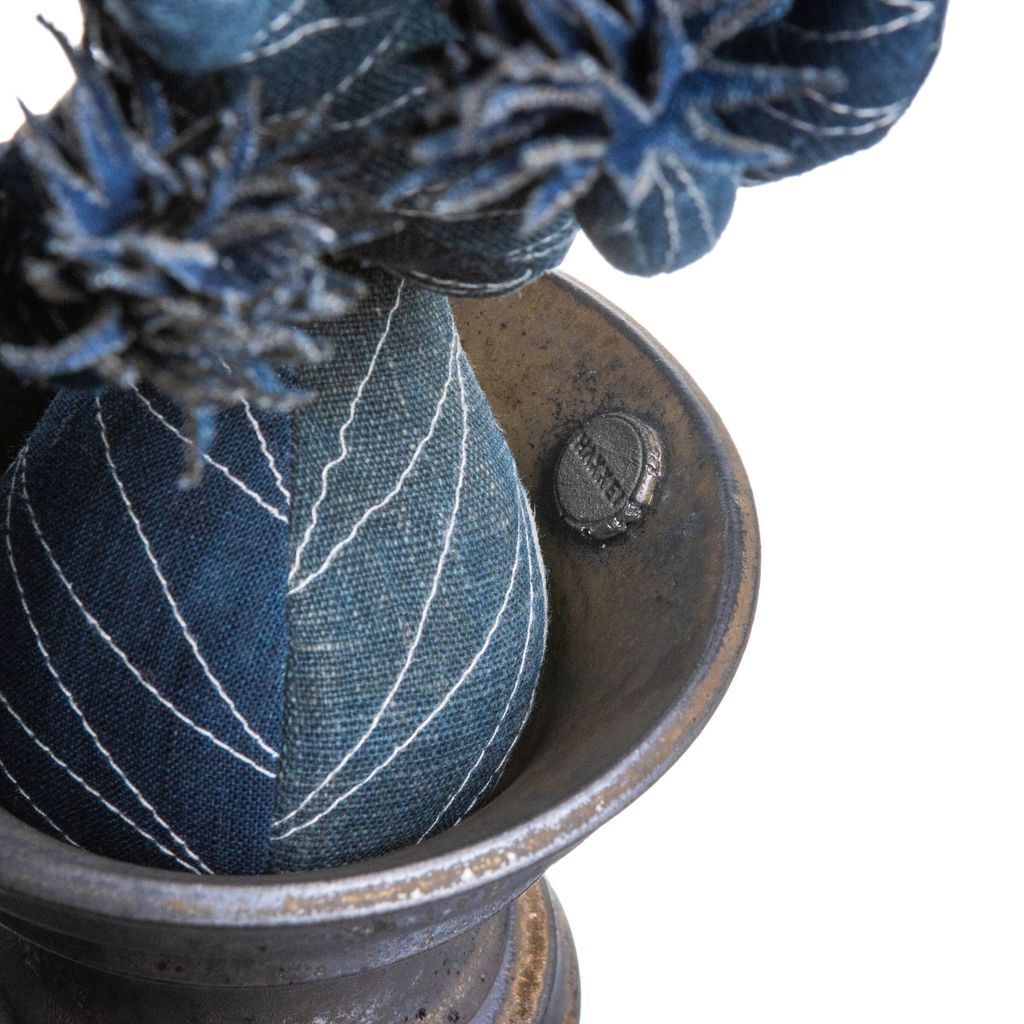 2025.10.13-五葉松白背-5369