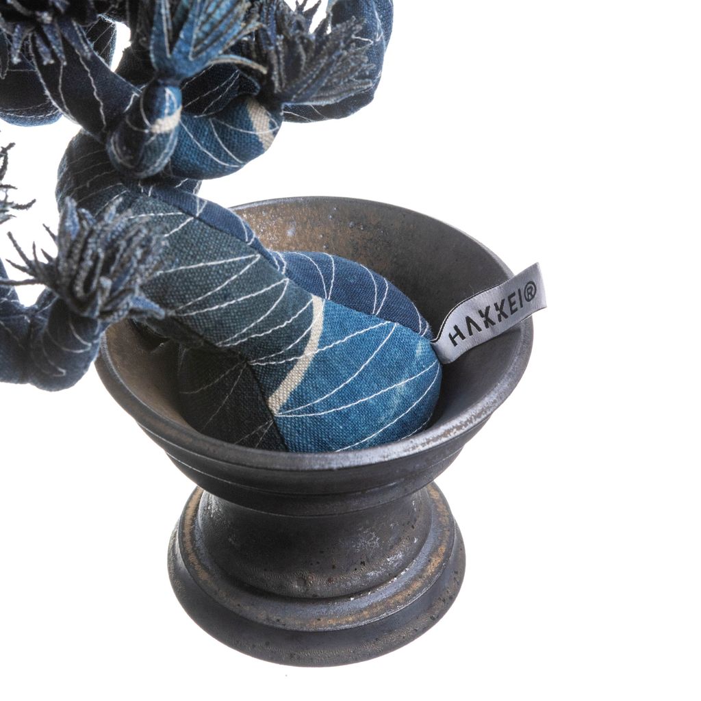 2025.10.13-五葉松白背-5380