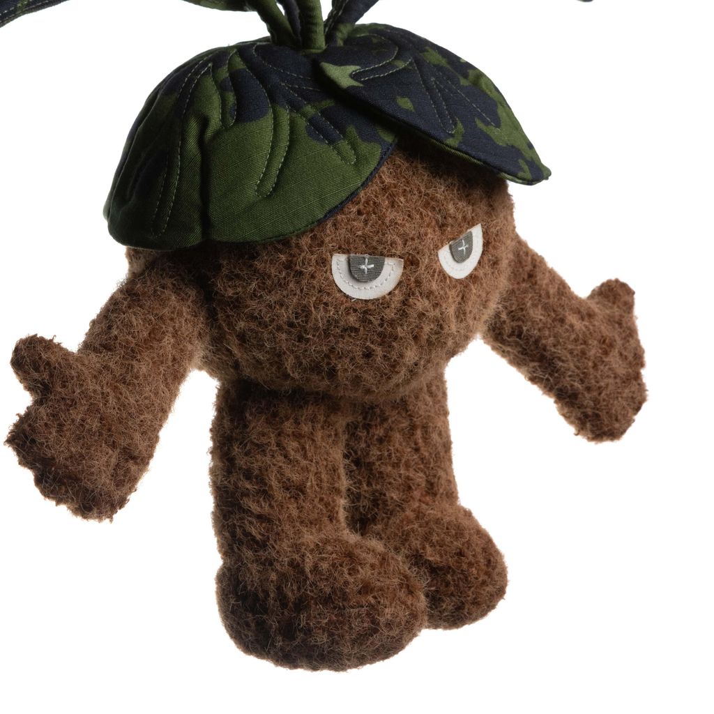 2025.12.06-鹿角蕨白-5412