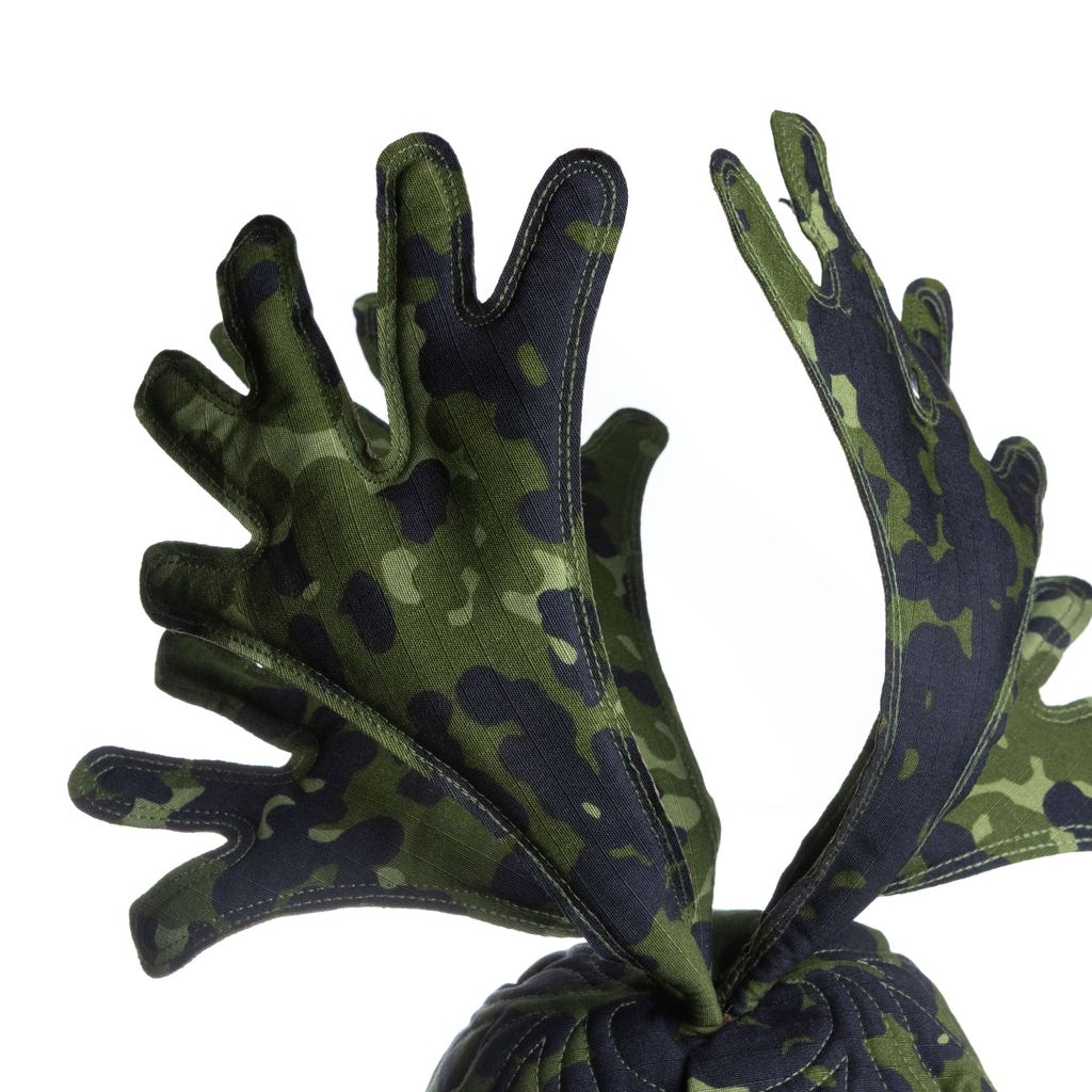 2025.12.06-鹿角蕨白-5425