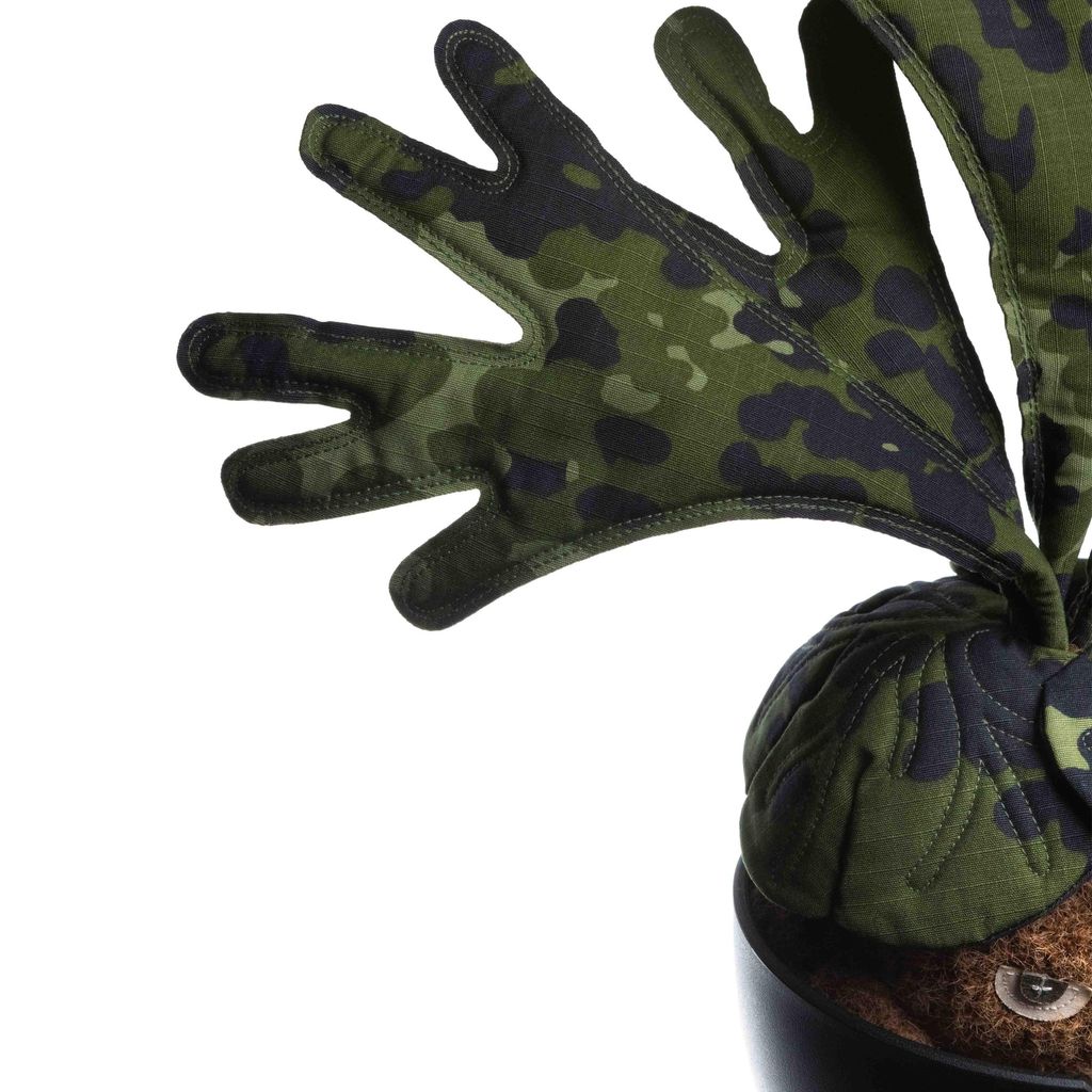 2025.12.06-鹿角蕨白-5395