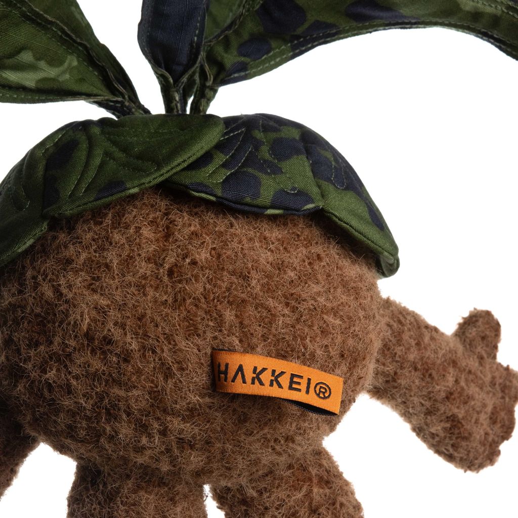 2025.12.06-鹿角蕨白-5420