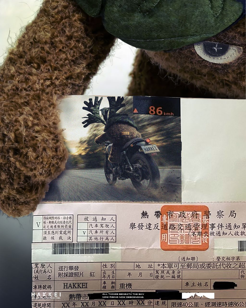 2025.12.13-鹿角蕨形象照-1-1