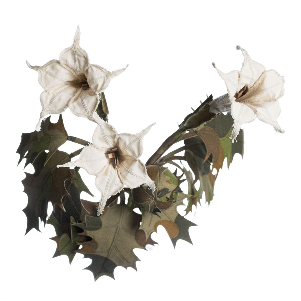 2025.12.19-曼陀羅-7715