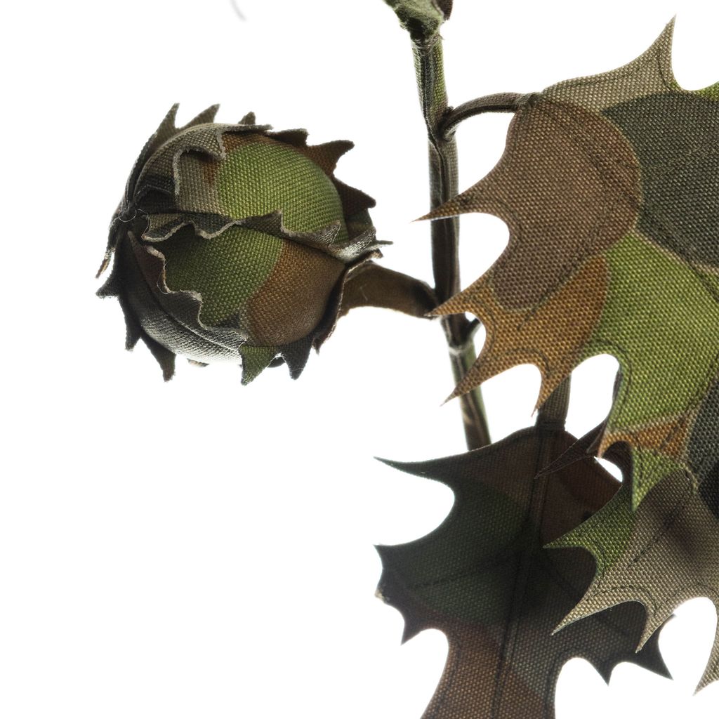 2025.12.19-曼陀羅-7738