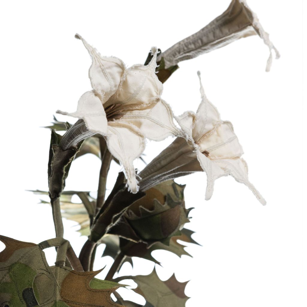 2025.12.19-曼陀羅-7706