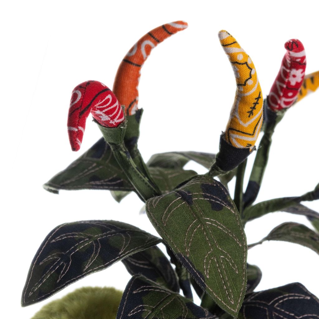 2025.01.02-辣椒愛豆-7746