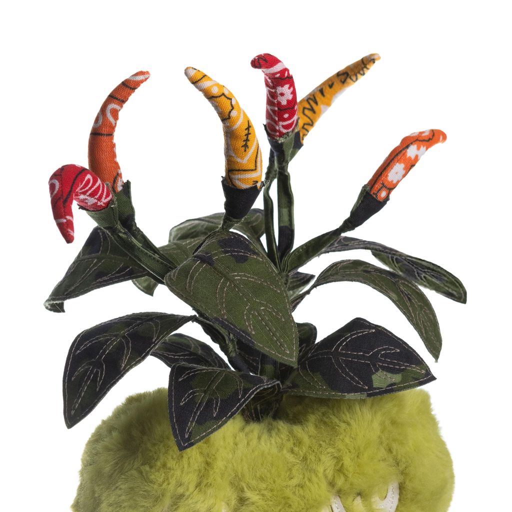 2025.01.02-辣椒愛豆-7743