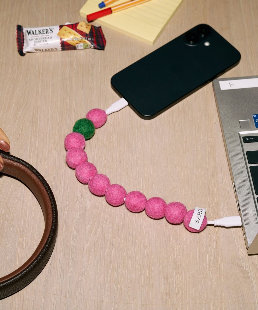 image_6DA68152-2377-46E2-8FF6-C6518C7F1C8F_1774411132