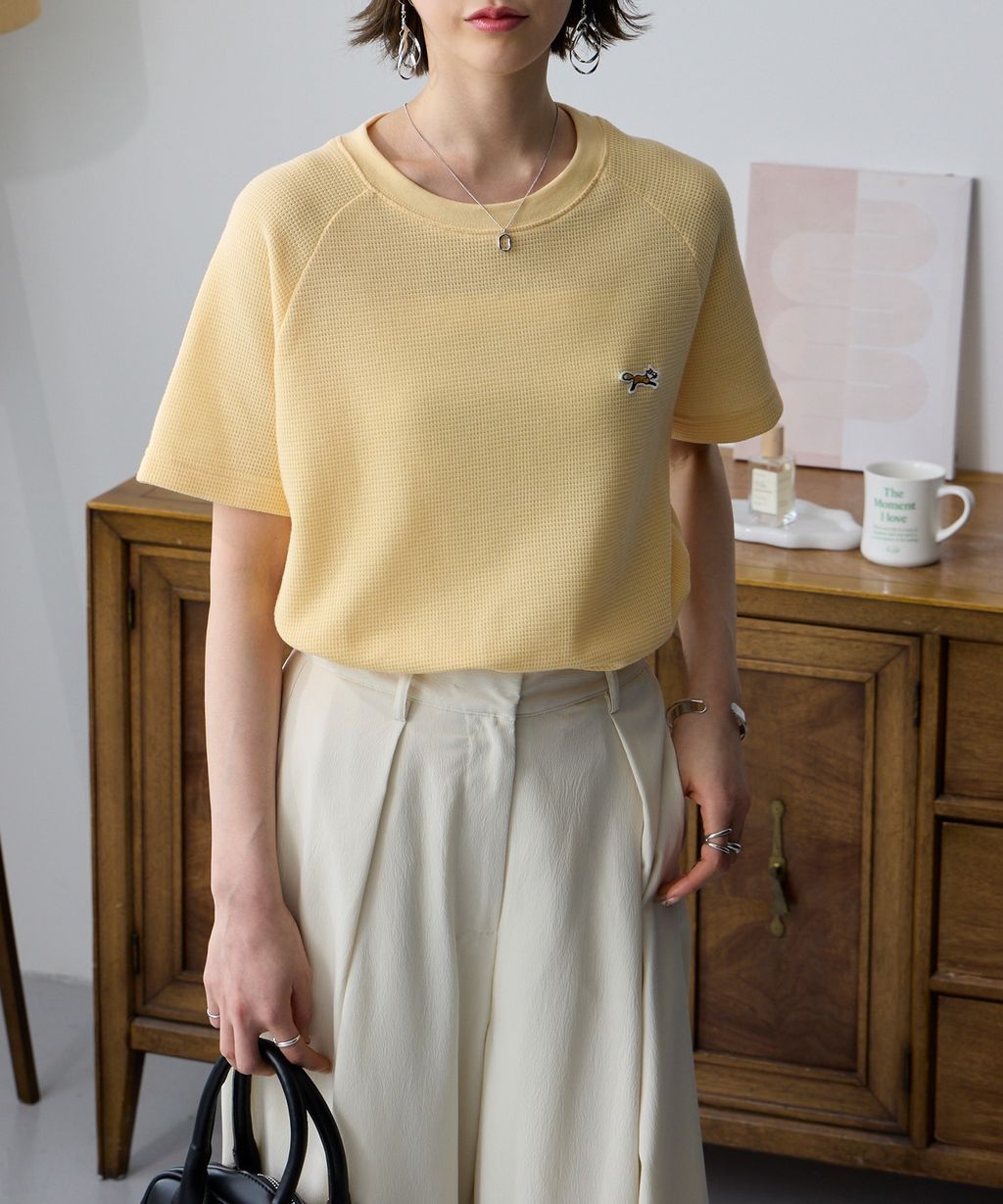 image_8B9B8171-69FE-4146-9A54-E94E379DF800_1776233442