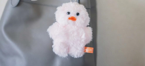 image_65A40734-8669-43AF-B7EC-F74A56A6CC04_1776235158