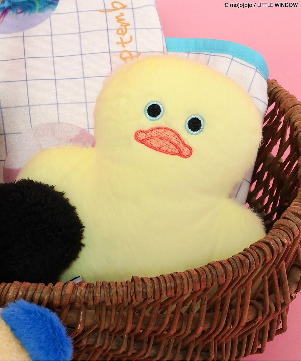 image_0886F7F6-B156-4005-AB75-6EE8759CE50C_1761030129