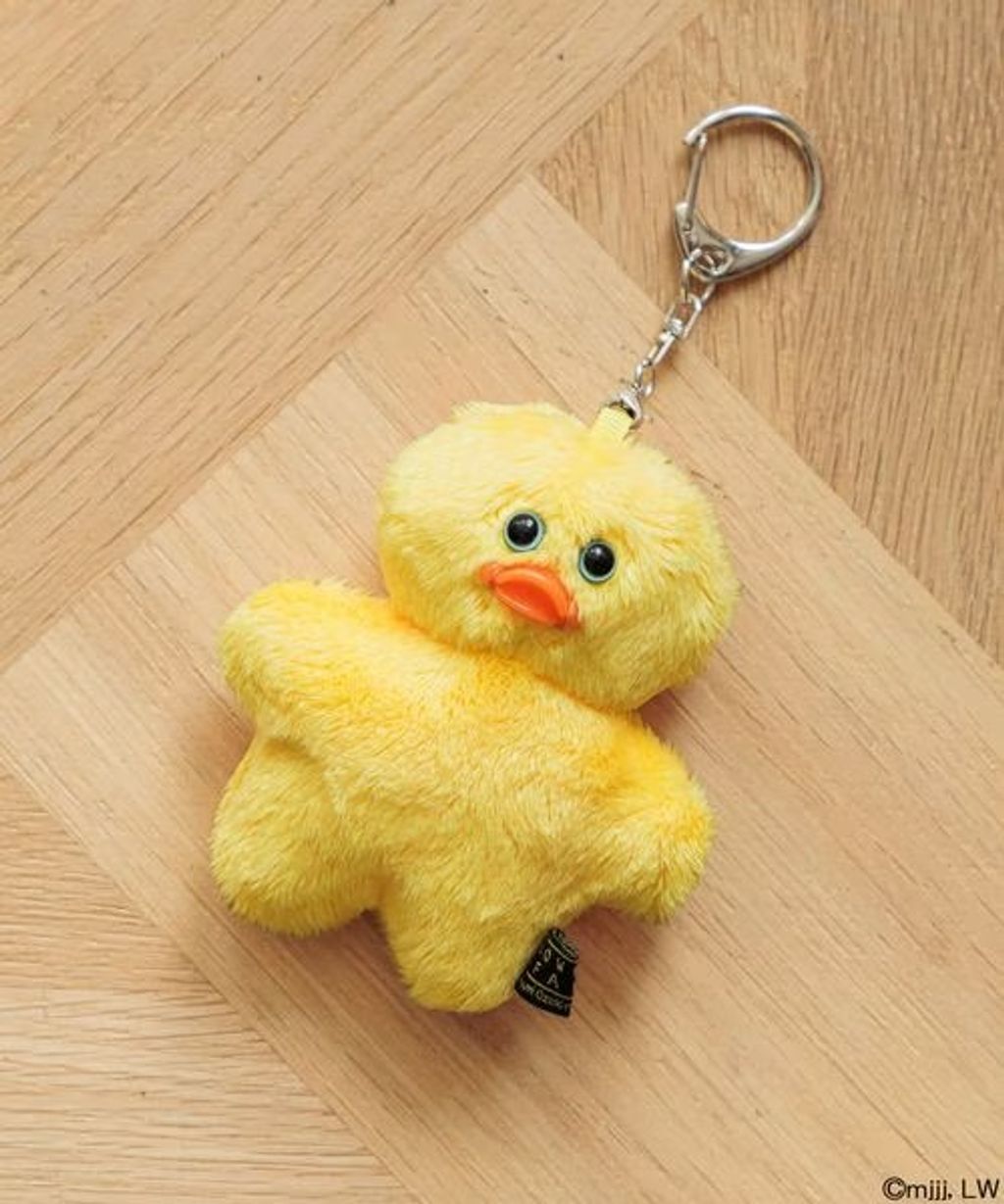 image_90B23F90-36C5-48D3-82B4-2EA3218B85FA_1762692430